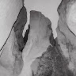 Meet your Posher, Blake